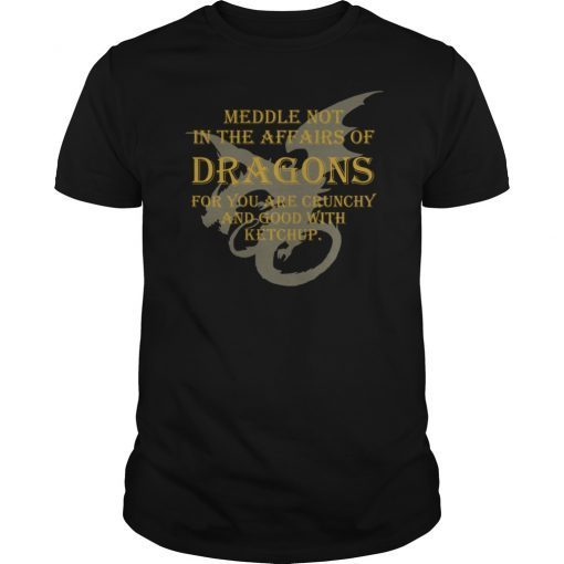 Meddle Not In The Affairs Of Dragons T-Shirt