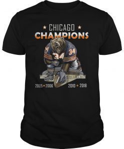 Chicago Bears North Division Champion 2018 Playoffs Shirt
