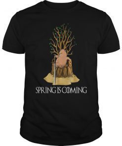 Spring is coming Happy Groundhog Day Shirt