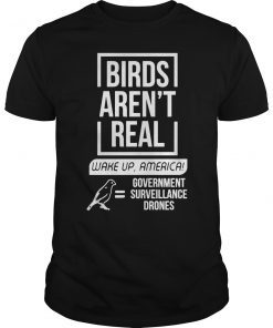 Birds Aren't Real Wake Up America T-Shirt