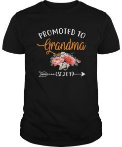 Promoted to Grandma Est 2019 T-Shirt