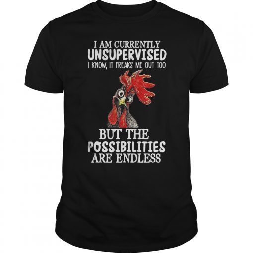 I Am Currently Unsupervised I Know Shirt