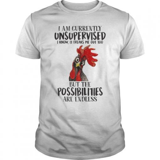 I Am Currently Unsupervised I Know Tee Shirt