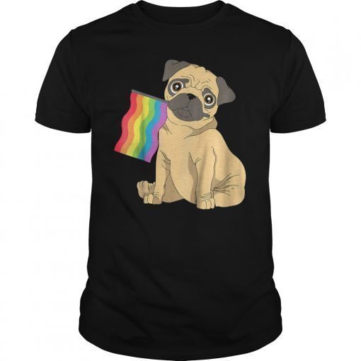 I'm Gay Shirt Flag Pug Pride Shirt LGBTQ Gifts Womens Kids