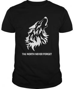 Direwolves The North Never Forgets Tshirt Funny Gift tee