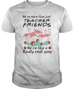 Flamingo We're More Than Just Teacher Friends Shirt