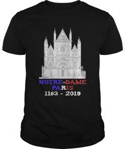 Paris France City Notre-Dame Cathedral Gift Shirt