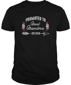 Promoted to Grandma Est 2019 New Grandma T-Shirt