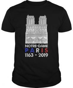 Vintage Paris France City Notre-Dame Cathedral Gift T-Shirt