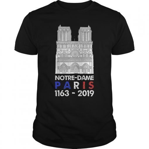 Vintage Paris France City Notre-Dame Cathedral Gift T-Shirt