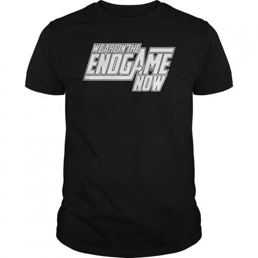 We Are In The Endgame Now Superhero Themed Shirt