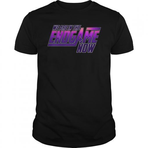 We Are In The Endgame Now Superhero Themed T-Shirt