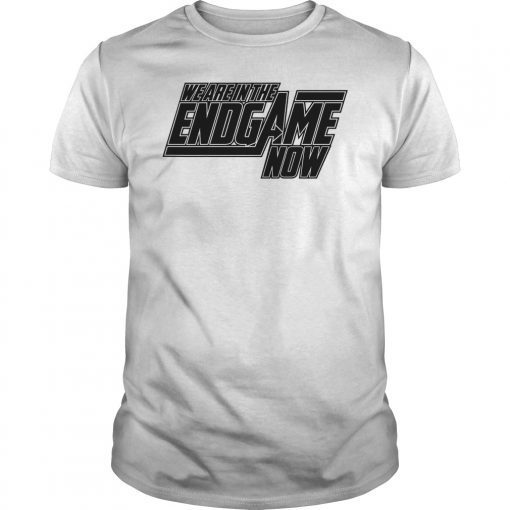 We Are In The Endgame Now Superhero Themed Tee Shirt