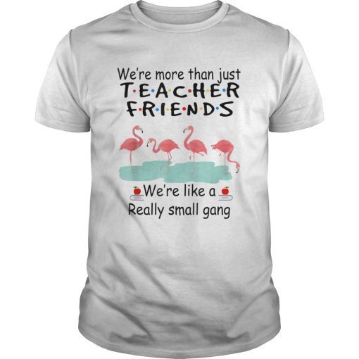 We're More Than Just Teacher Friends Flamingo T Shirt