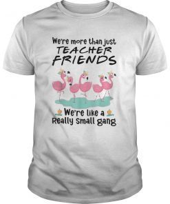 We're More Than Just Teacher Friends Flamingo Tee Shirts