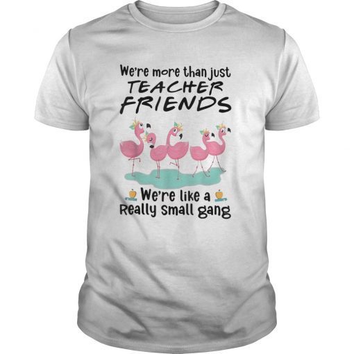 We're More Than Just Teacher Friends Flamingo Tee Shirts