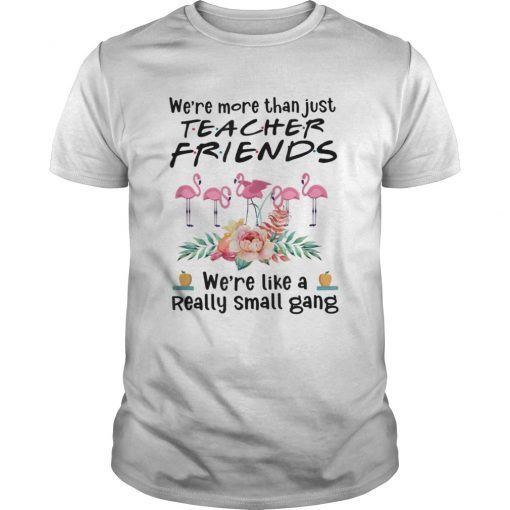 We're more than just teacher friends flamingo lovers T-Shirts