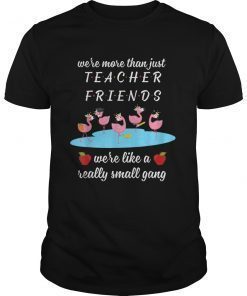 Womens We're More Than Just Teacher Friends Flamingo Perfect Tee Shirt