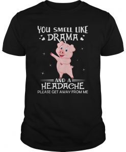 You Smell Like Drama And A Headache Get Away Pig Tshirt