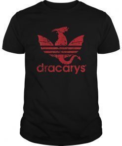 women-men-dracarys-shirt