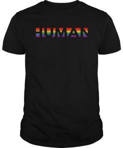 Gay LGBT Queer Pride Rainbow Flag Human Equality T-Shirt