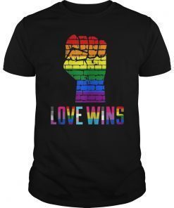 Love Wins Rainbow Raised Fist LGBT Gay Pride Awareness Month Tee Shirt