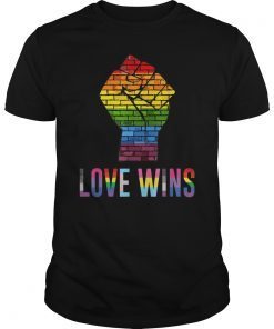 Love Wins Raised Fist T Shirt LGBT Gay Pride Awareness Month