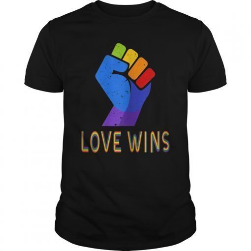 Love Wins Raised Fist T-Shirt LGBT Gay Pride Awareness Month T-Shirt