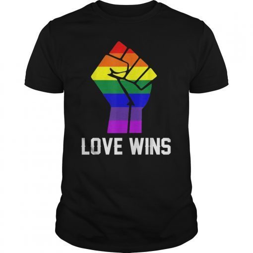 Love Wins Raised Fist T Shirt LGBT Gay Pride Awareness Month Tee Shirt