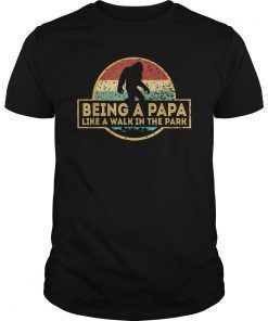 Mens Being A Papa Is A Walk In The Park T-Shirt Dad Retro