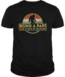 Mens Being A Papi Is A Walk In The Park T-Shirt Papi Retro