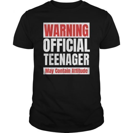 Official Teenager funny 13 birthday t shirt gift 13th tee