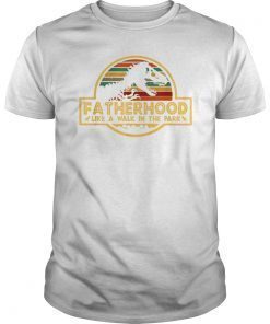 Womens Fatherhood Like A Walk In The Park T-Shirt Dad Retro Sunset T-Shirt