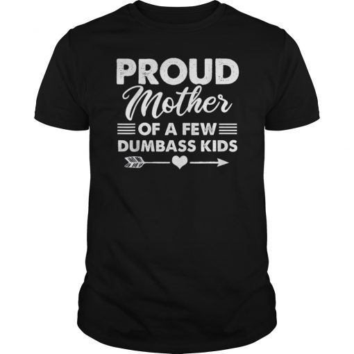 Womens Proud Mother Of A Few Dumbass Kids T-Shirt T-Shirt