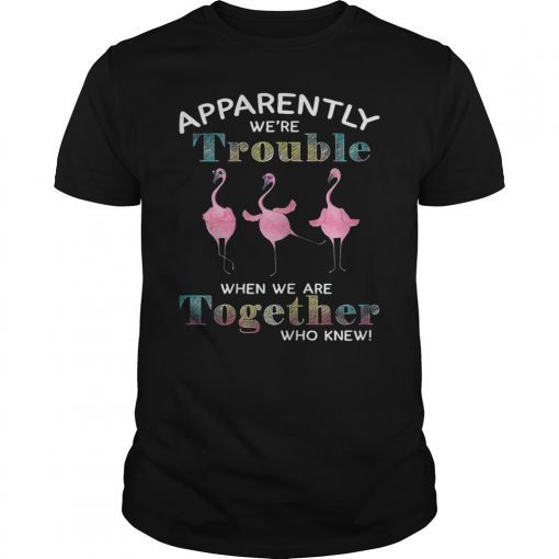 Apparently We're Trouble When We Are Together Flamingo Shirt