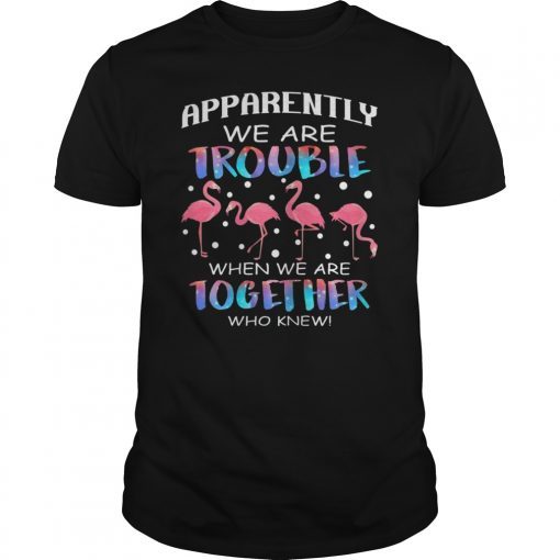 Apparently We're Trouble When We're Together Flamingo TShirt