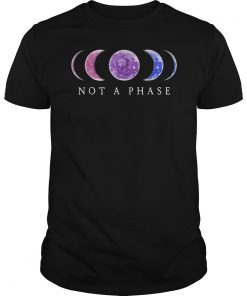 Bi Pride T-Shirt Not a Phase Bisexual Tee
