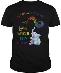 Dream Without Fear Love Without Limits Elephant LGBT Pride Shirt