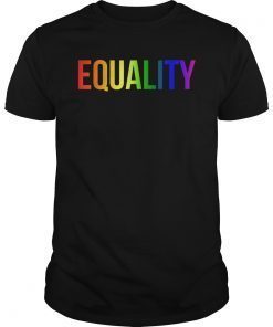 Equality Rainbow Flag Shirt LGBTQ Rights