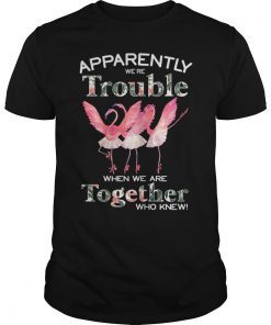Flamingo Shirt Apparently We're Trouble When We Are Together