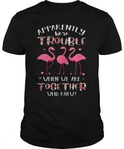 Flamingo TShirt Apparently We're Trouble When We Are Together