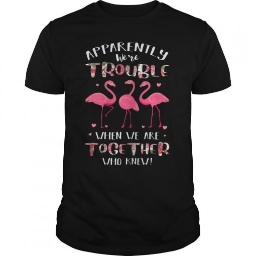 Flamingo TShirt Apparently We're Trouble When We Are Together