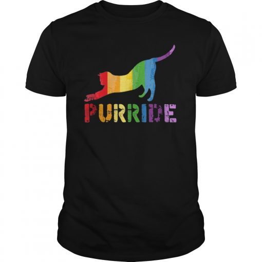 Gay Pride Gift Shirt LGBT Cute Cat Rainbow Purride Equality T-Shirt