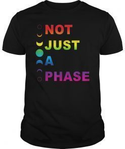 Gay Pride Parade Not Just A Phase Rainbow Moon Cycle T-Shirt