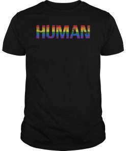 Gay Pride Shirt, Women Men, Human Shirt Gift, LGBT T-shirt, LBGTQ Tshirt,