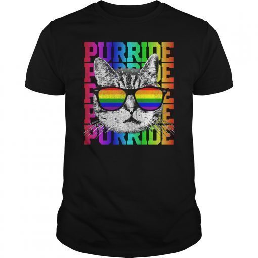 Purride Funny Cat Gay Pride LGBTQ Rainbow Flag Men Women T-Shirt