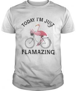 Flamingo today Im just flamazing shirt