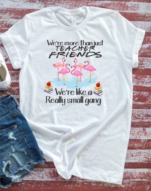 We're More Than Just Teacher Friends Flamingos Men's and Women's Gift Tee Shirt