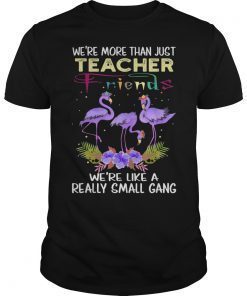 We're More Than Just Teacher Friends Funny Flamingo T-Shirt