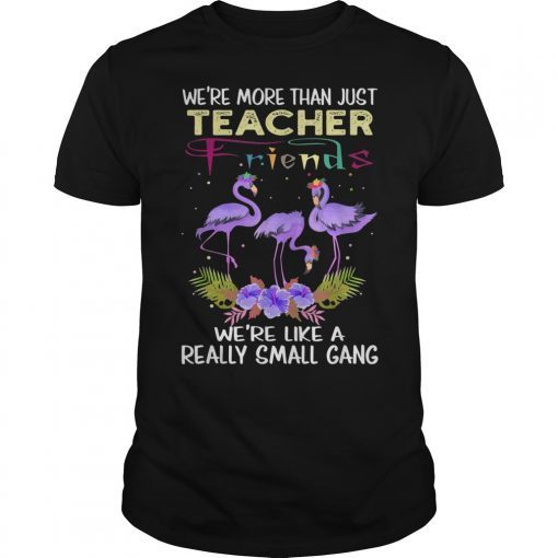 We're More Than Just Teacher Friends Funny Flamingo T-Shirt